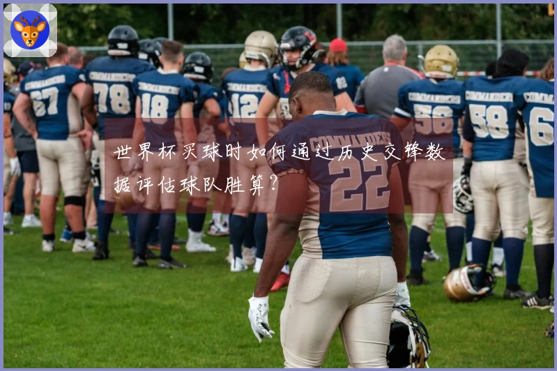 世界杯买球时如何通过历史交锋数据评估球队胜算？