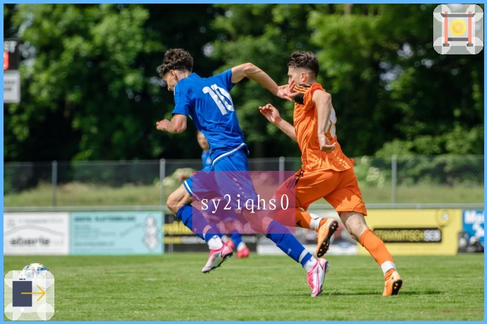 sy2iqhs0