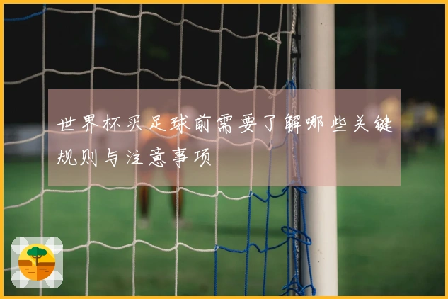 世界杯买足球前需要了解哪些关键规则与注意事项